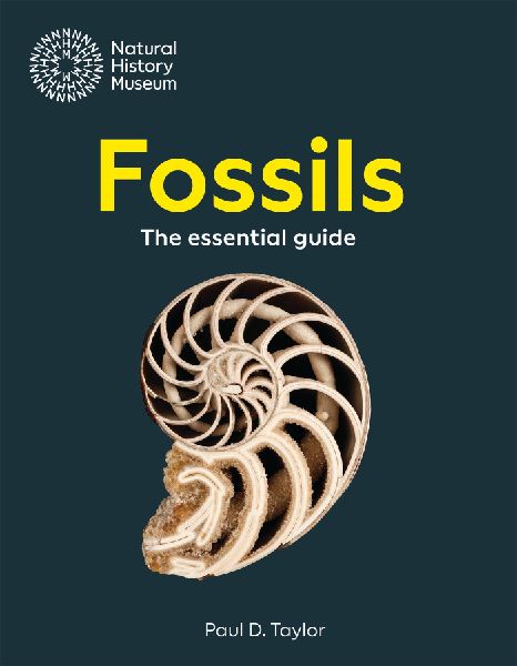Fossils