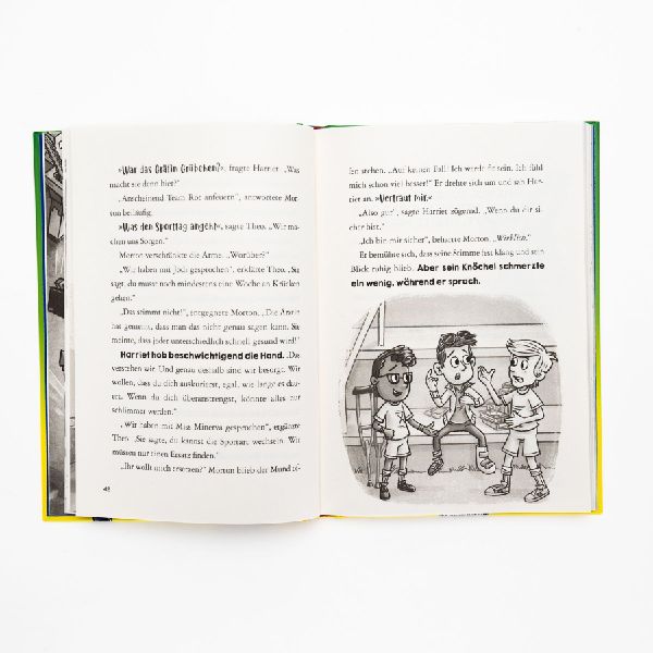 Minecraft Erste Leseabenteuer. Der Golem-Trick 