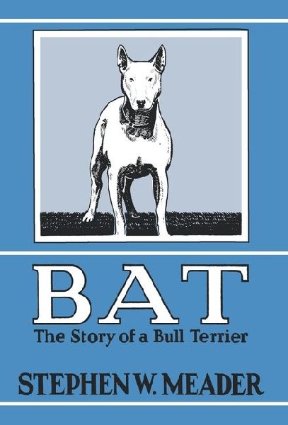 BAT, The Story of a Bull Terrier