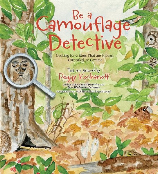 Be a Camouflage Detective