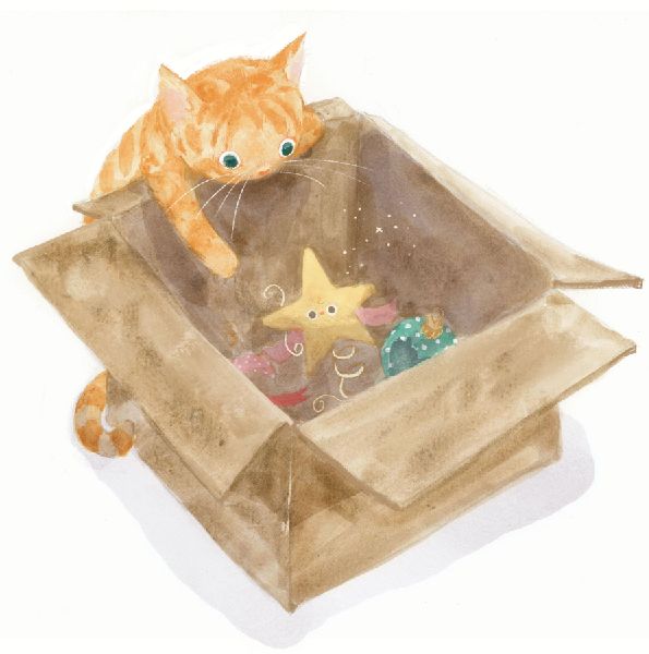 Das kleine Weihnachtssternchen 