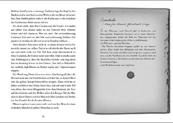 Flora Magica (Band 1) - Das Geheimnis der Nachtschatten 