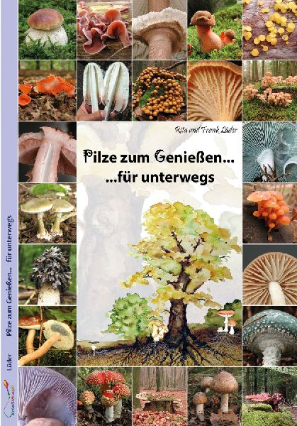 Pilze zum Genießen... für unterwegs