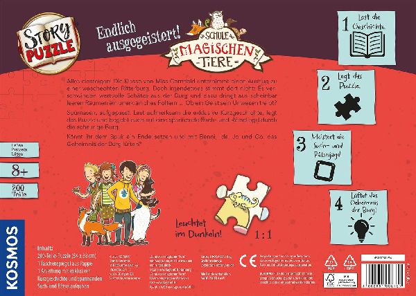Schule der magischen Tiere - Story Puzzle: Endlich ausgegeistert! 