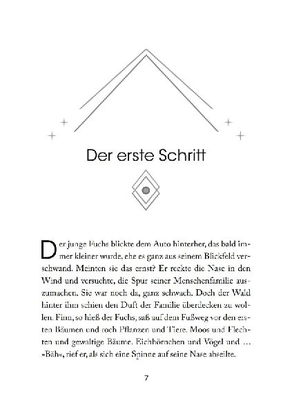 Foxfighter - Angriff des Schattens (Band 1) 