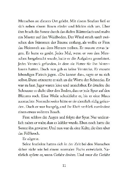 Foxfighter - Angriff des Schattens (Band 1) 