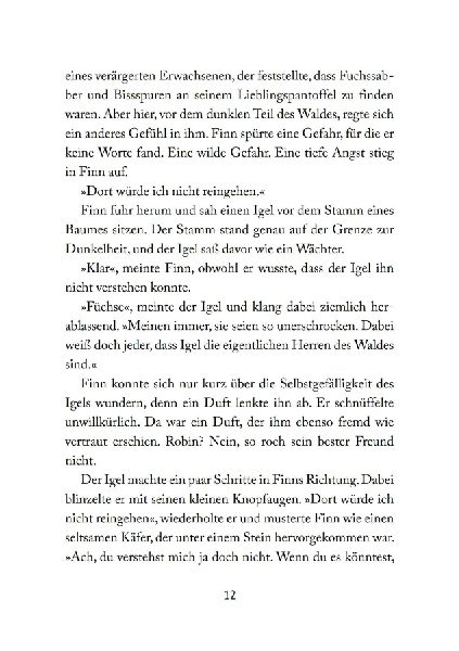 Foxfighter - Angriff des Schattens (Band 1) 