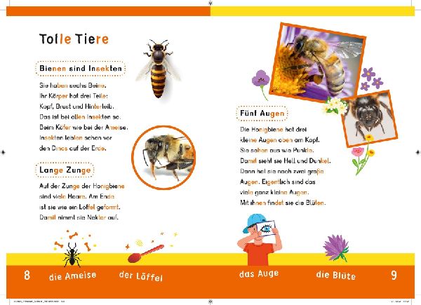 Dein Lesestart: Weißt du schon alles über Bienen? Ab 1. Klasse 