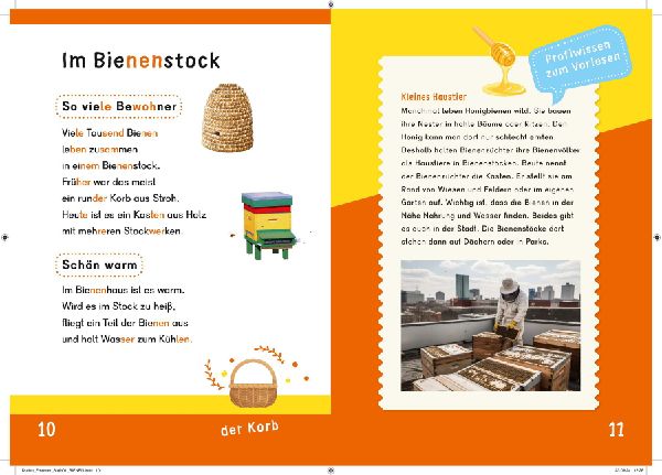 Dein Lesestart: Weißt du schon alles über Bienen? Ab 1. Klasse 