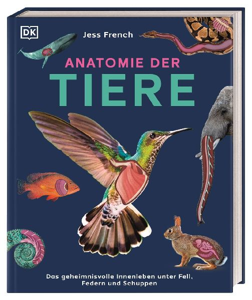 Anatomie der Tiere