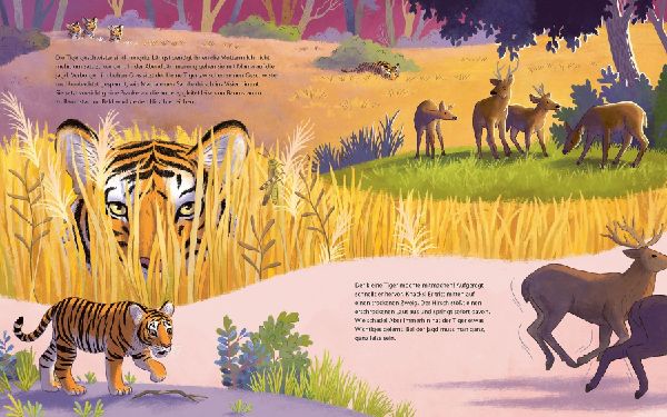 Der kleine Tiger - Zu Hause in Indien 