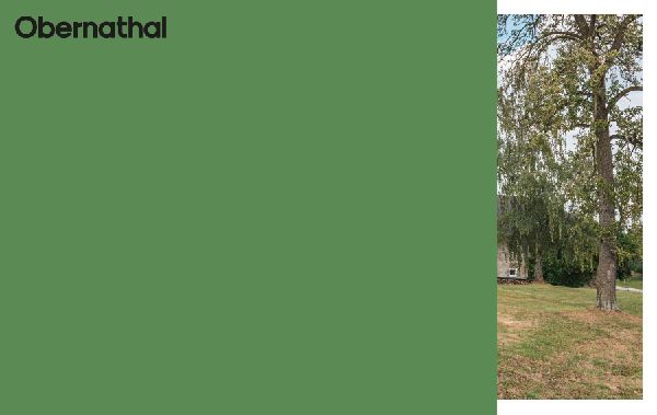 Thomas Bernhard - Hab & Gut 