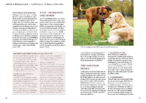 Beziehung, Erziehung, Bindung 