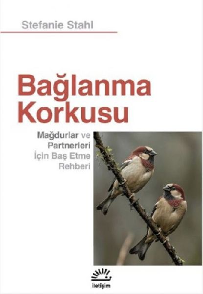 Baglanma Korkusu
