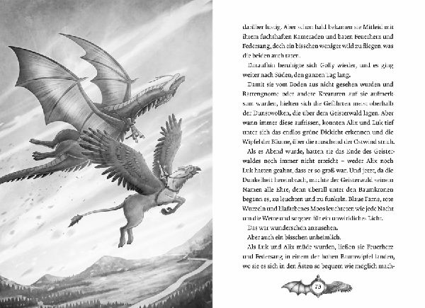 Die Drachengreif-Chroniken (Band 2) - Feuerherz 