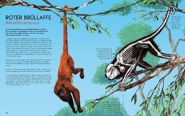 Bones - Knochen und Skelette in der Tierwelt 