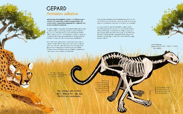 Bones - Knochen und Skelette in der Tierwelt 