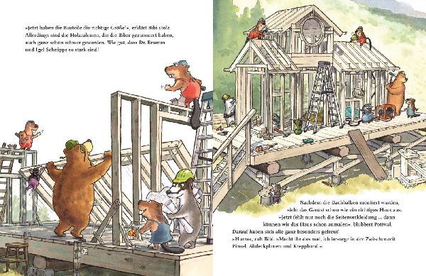 Dr. Brumm: Dr. Brumm baut ein Haus 