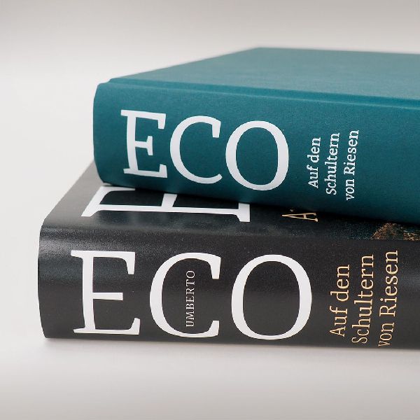 Auf den Schultern von Riesen 