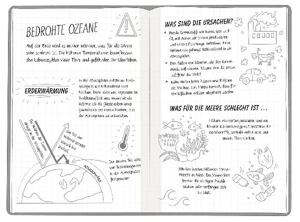 Ein Fall für die Forscher-Kids 1. Rettet die Wale! 