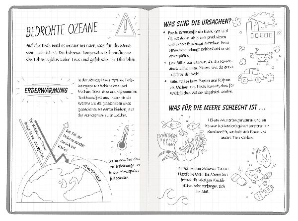 Ein Fall für die Forscher-Kids 1. Rettet die Wale! 