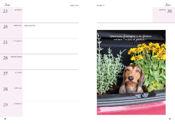 Mit Herz & Gabel durch Katrins Gartenjahr 2025 