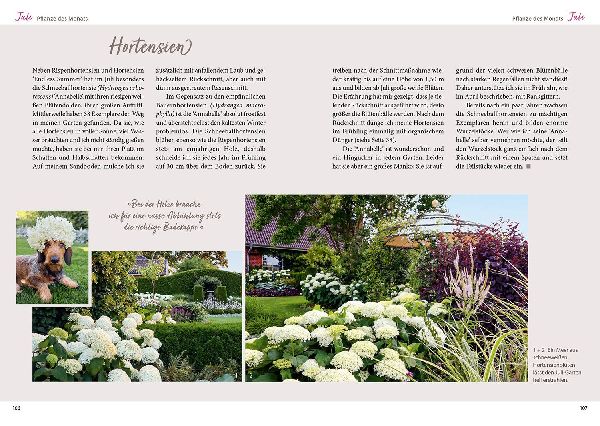 Mit Herz & Gabel durch Katrins Gartenjahr 2025 