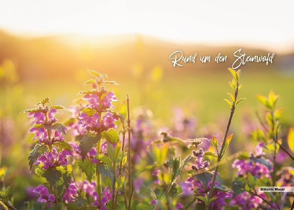 Oberpfalz - Der Norden - HeimatMomente 