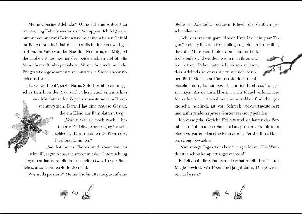 Ruby Fairygale (Band 5) - Der verbotene Zauber 