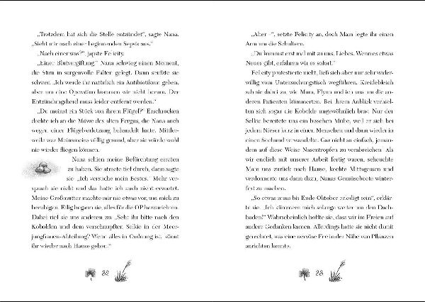 Ruby Fairygale (Band 5) - Der verbotene Zauber 