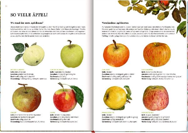 Das große Buch vom Apfelbaum 
