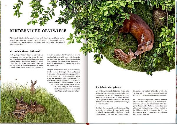 Das große Buch vom Apfelbaum 