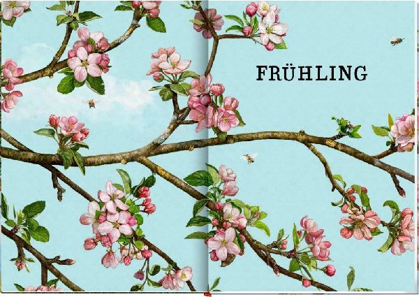 Das große Buch vom Apfelbaum 