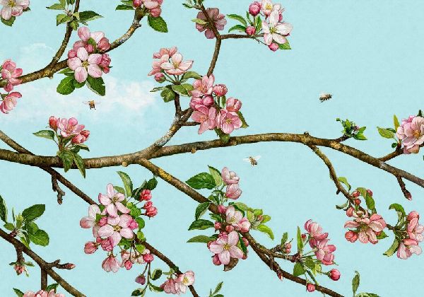 Das große Buch vom Apfelbaum 