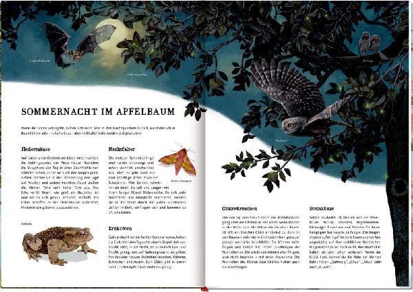 Das große Buch vom Apfelbaum 