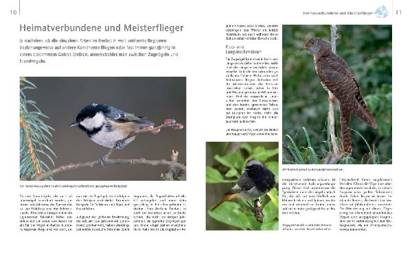 Vögel zu Gast im Garten - Beobachten, bestimmen, schützen. 