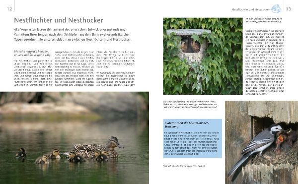 Vögel zu Gast im Garten - Beobachten, bestimmen, schützen. 