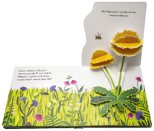 Mein Pop-up-Buch zum Staunen. Wo kommst du her, kleiner Löwenzahn? 