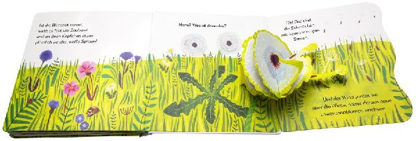 Mein Pop-up-Buch zum Staunen. Wo kommst du her, kleiner Löwenzahn? 