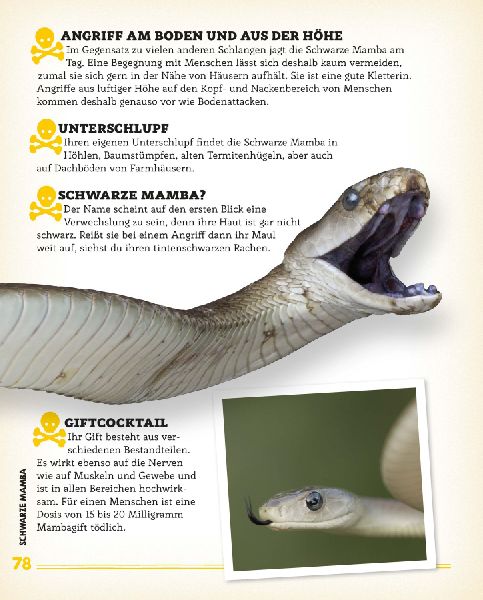 Bissig, giftig, tödlich! 