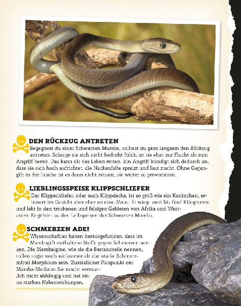 Bissig, giftig, tödlich! 