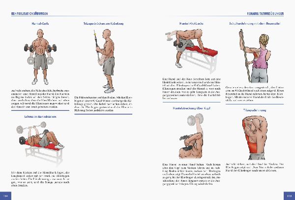 Die Anatomie der Sportverletzungen 