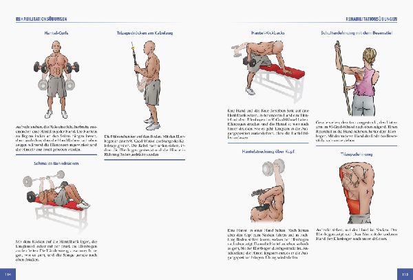 Die Anatomie der Sportverletzungen 