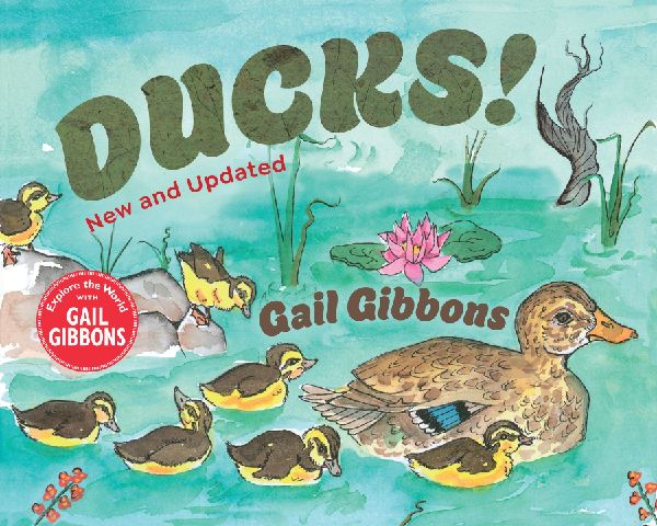 Ducks! (New & Updated)