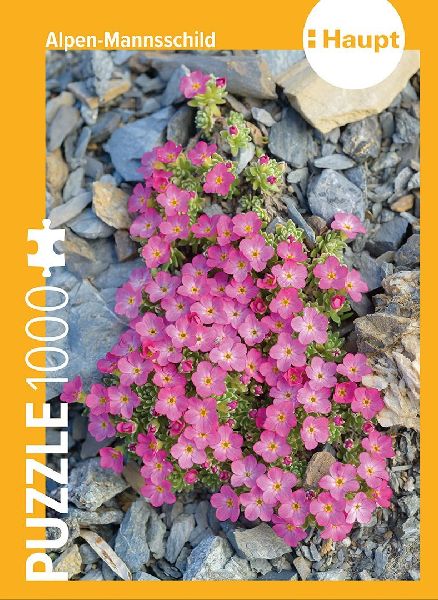 Alpen-Mannsschild - Puzzle. 1000 Teile