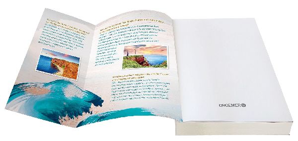 Die Frauen von Helgoland. Sturmflüsterin 