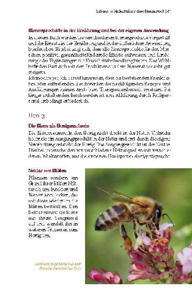 Bienenschätze - Honig, Pollen, Propolis & Co. 