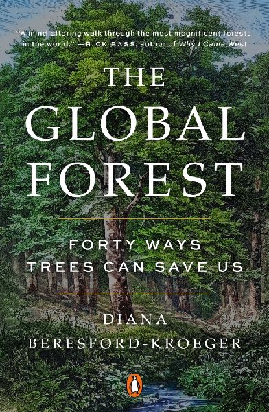 The Global Forest