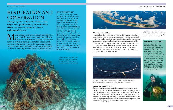 The Kingfisher Ocean Encyclopedia 