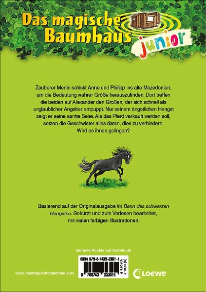 Das magische Baumhaus junior (Band 42) - Das rätselhafte schwarze Pferd 